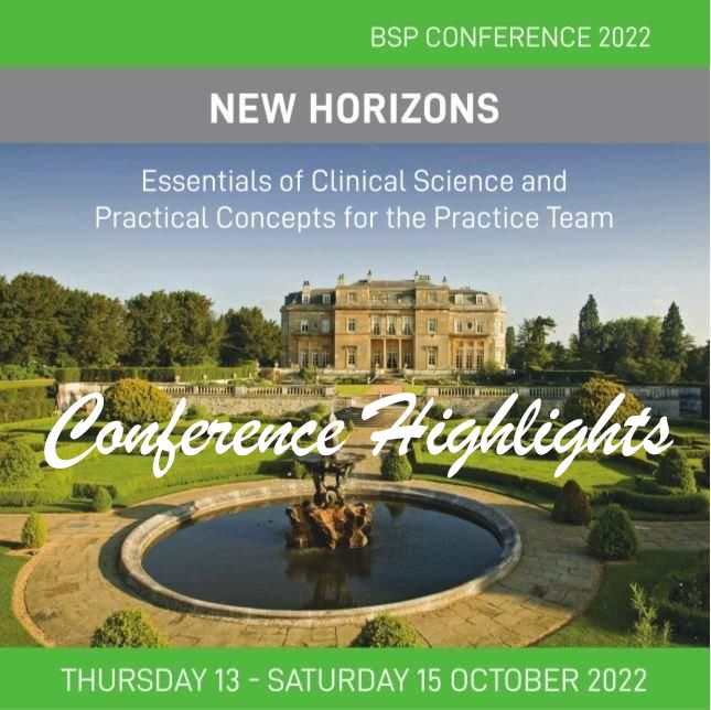 BSP Conference 2022 - Highlights