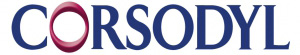 bsp sponsor logo