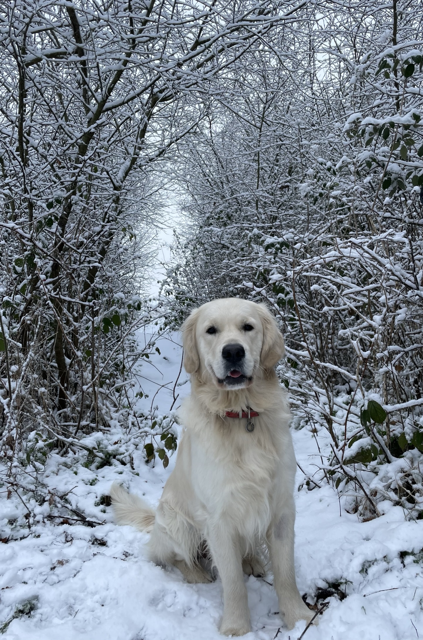 A note from our President…