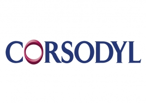 bsp sponsor logo